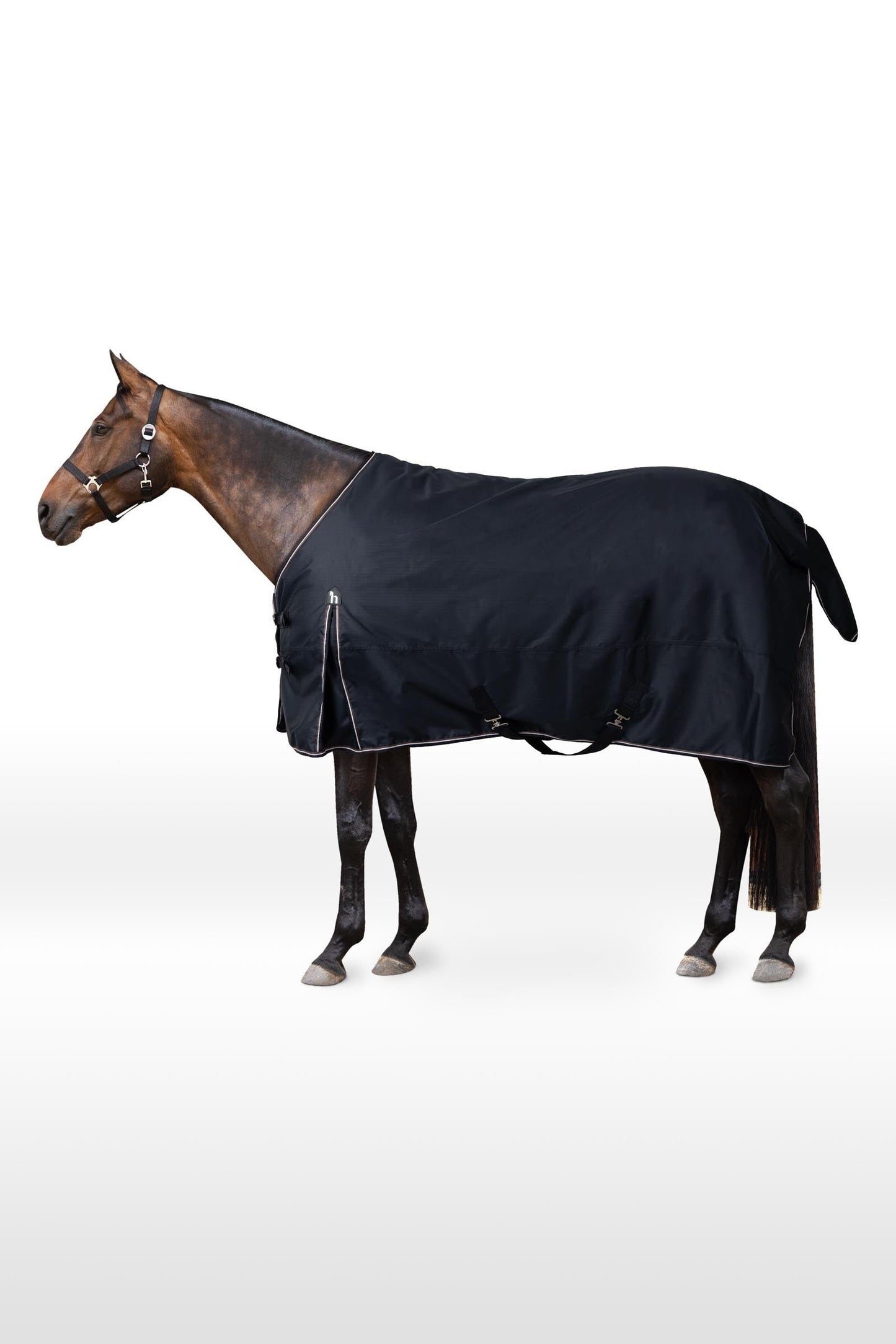 Glasgow Turnout Rug, 400g Blueberry 165