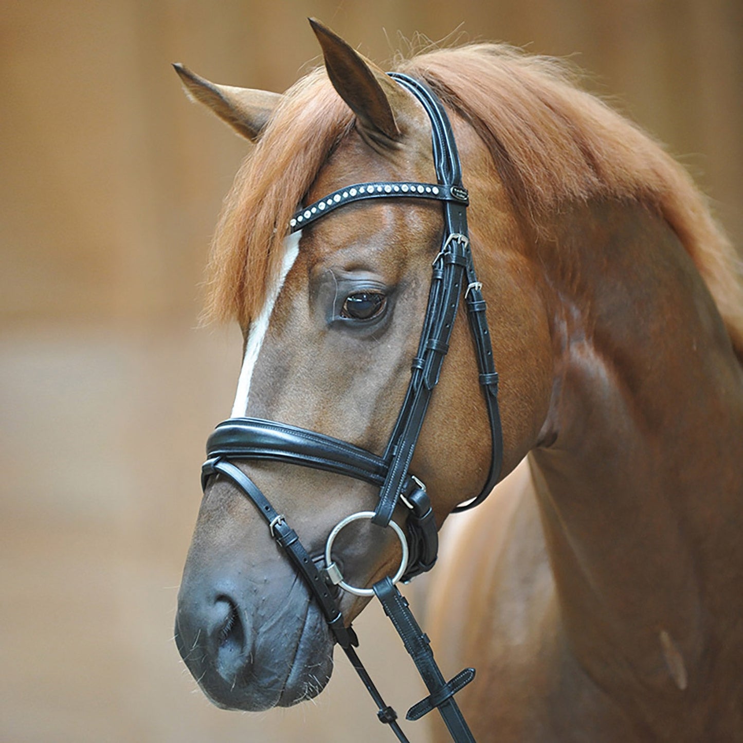 Bridle Mia, crank noseband w/ flash Black C