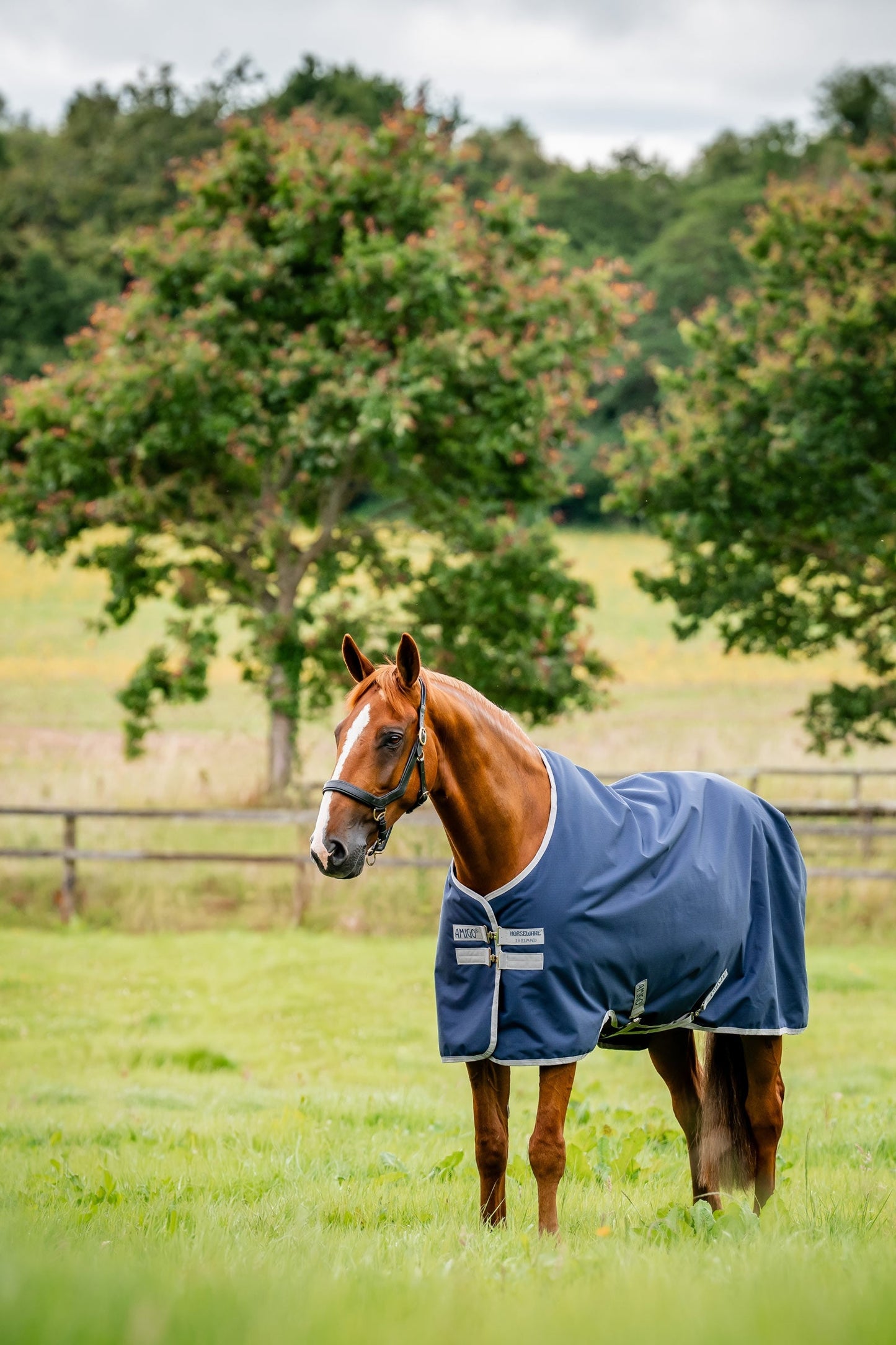 Amigo Ripstop 900D Turnout Rug, 200 g Navy/Titanium Grey 130