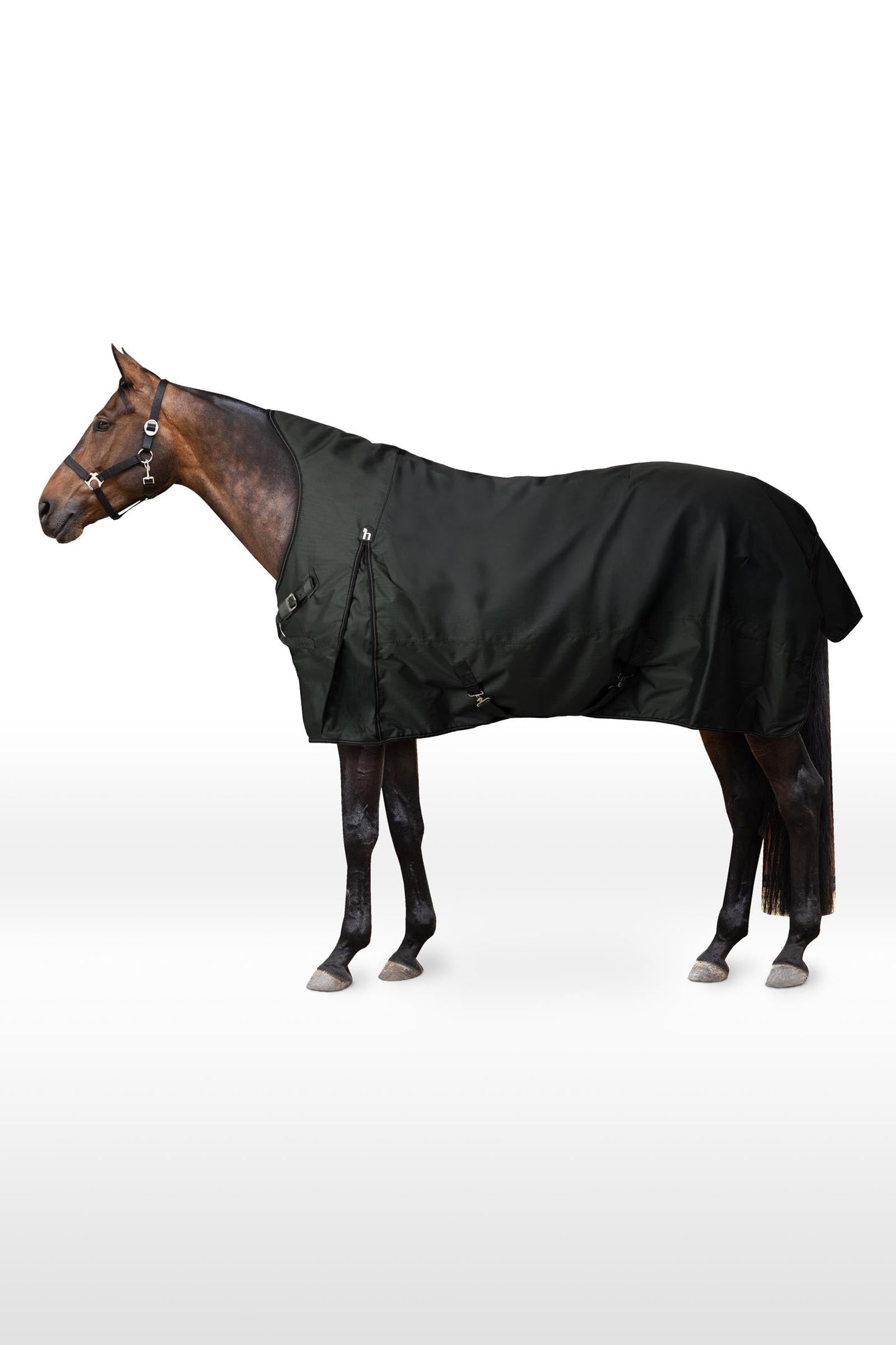 Helsinki Turnout Rug With Half Neck, 200 g Scarab Green 165