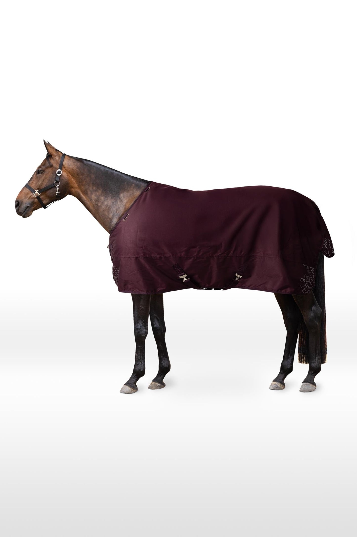 Newbridge Reflective Turnout Rug, 300 g Fig 155