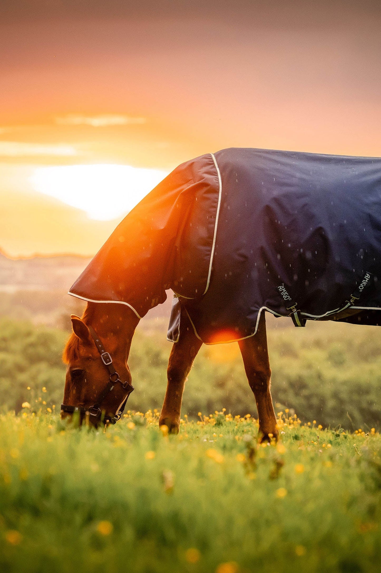 Amigo Ripstop 900D Plus Turnout, 200g Witney Navy 145