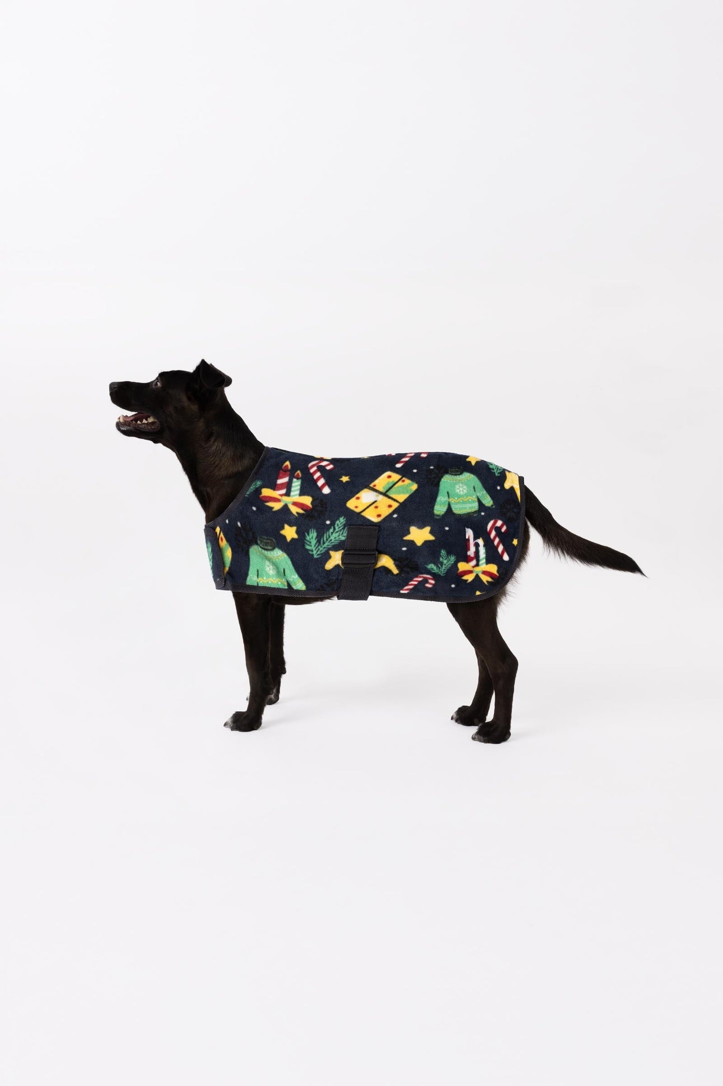 Christmas dog sweater christmas jumper print 50