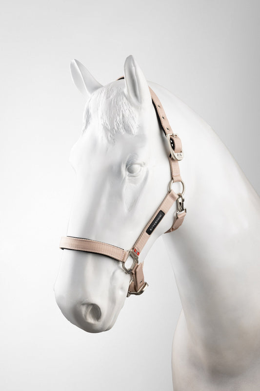 Hardwick Halter Sepia rose P