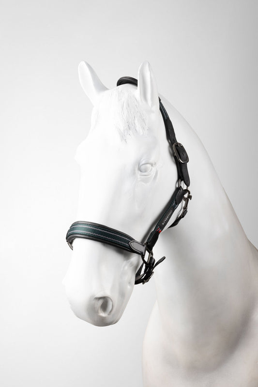 Lennox Leather Halter Scarab Green P