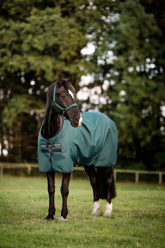 Amigo Ripstop 900D Turnout Rug, 200 g Dynasty Green/Navy/Silver 155