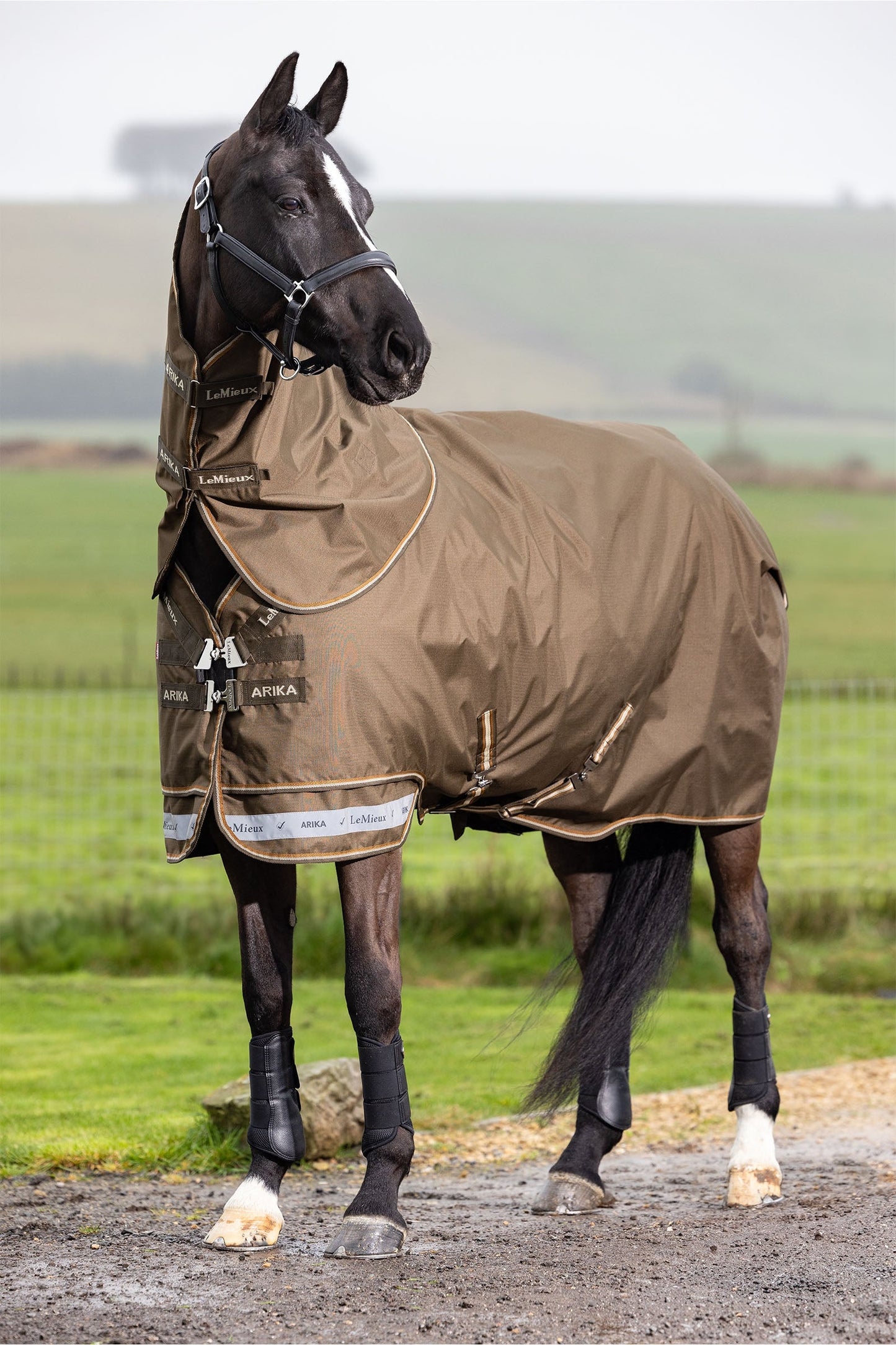 Arika Ripstop Turnout Rug With Detachable Neck, 200 g Alpine 135