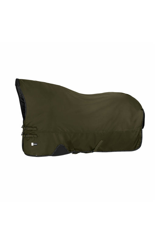 Dynamics AW25 Beta Turnout Rug, 150 g Olive 165