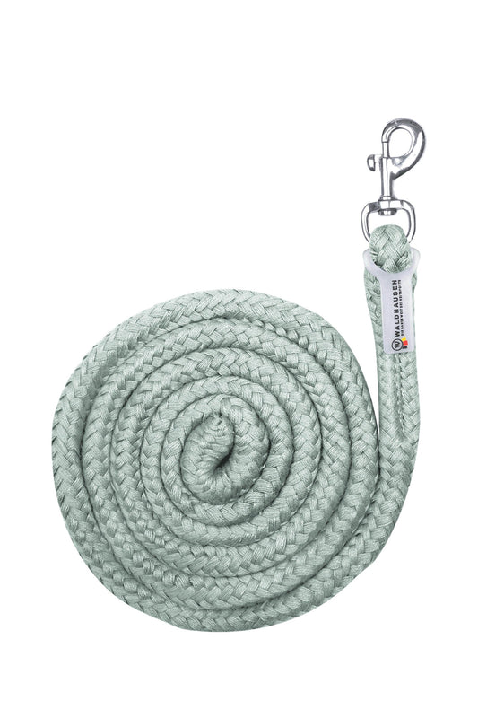Economic Lead Rope With Carabiner Silver Blue One Size