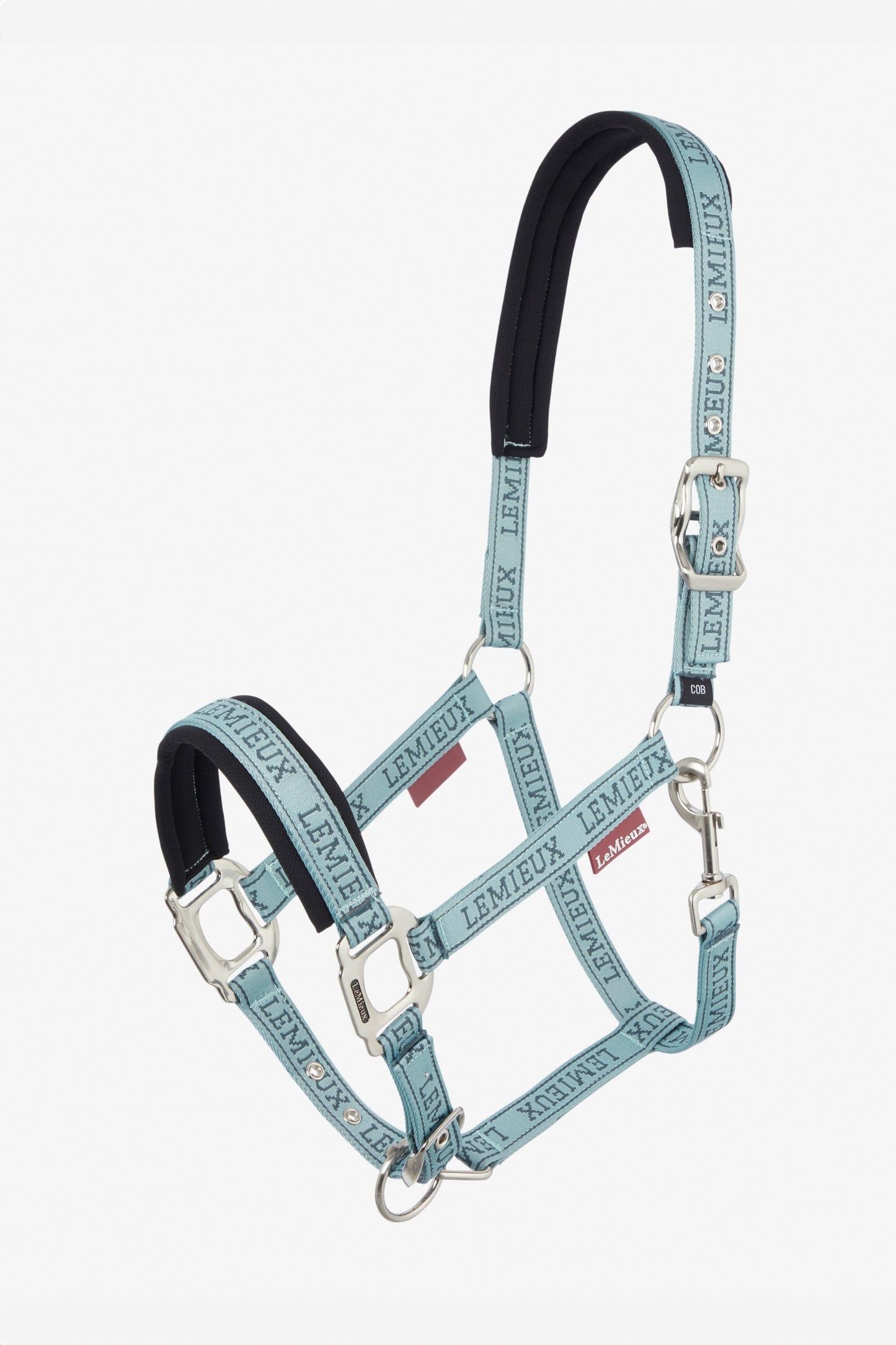 Logo Headcollar Glacier P