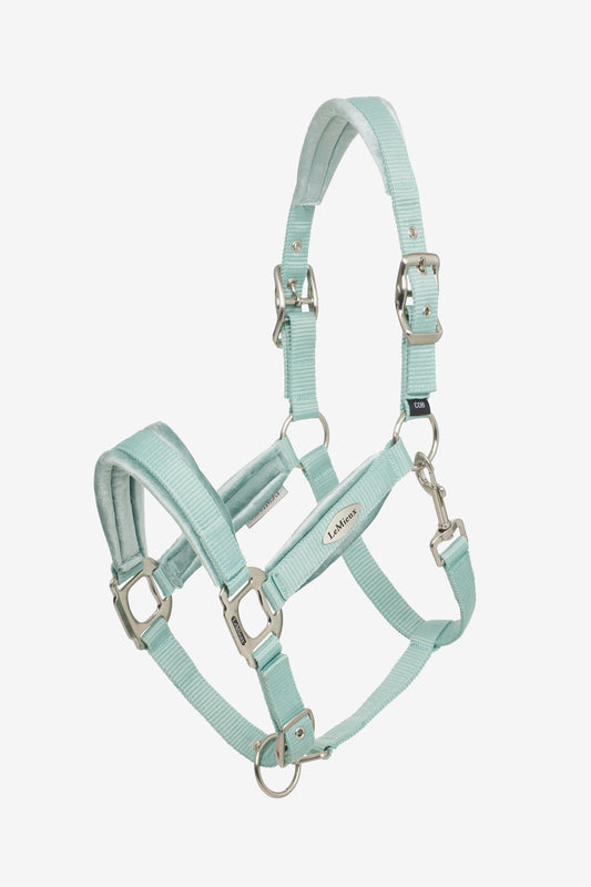 Versailles Headcollar Aqua C
