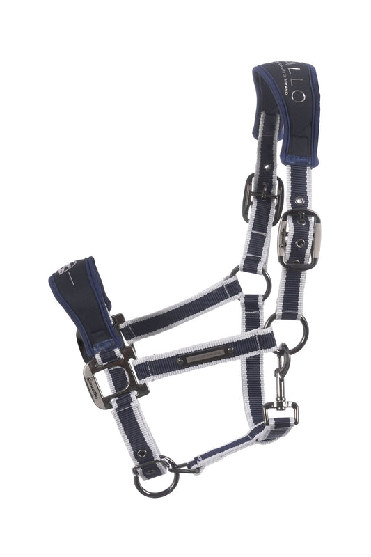 CavalSoft Softshell Head Collar darkblue C