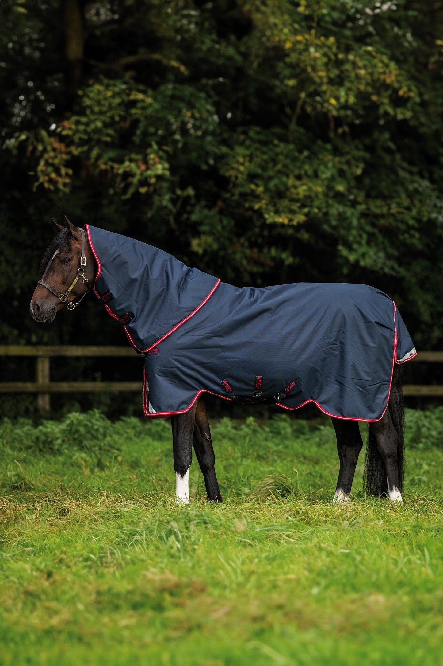 Amigo Bravo 12 Plus Turnout Rug, 250 g Navy/Red/Blue 115