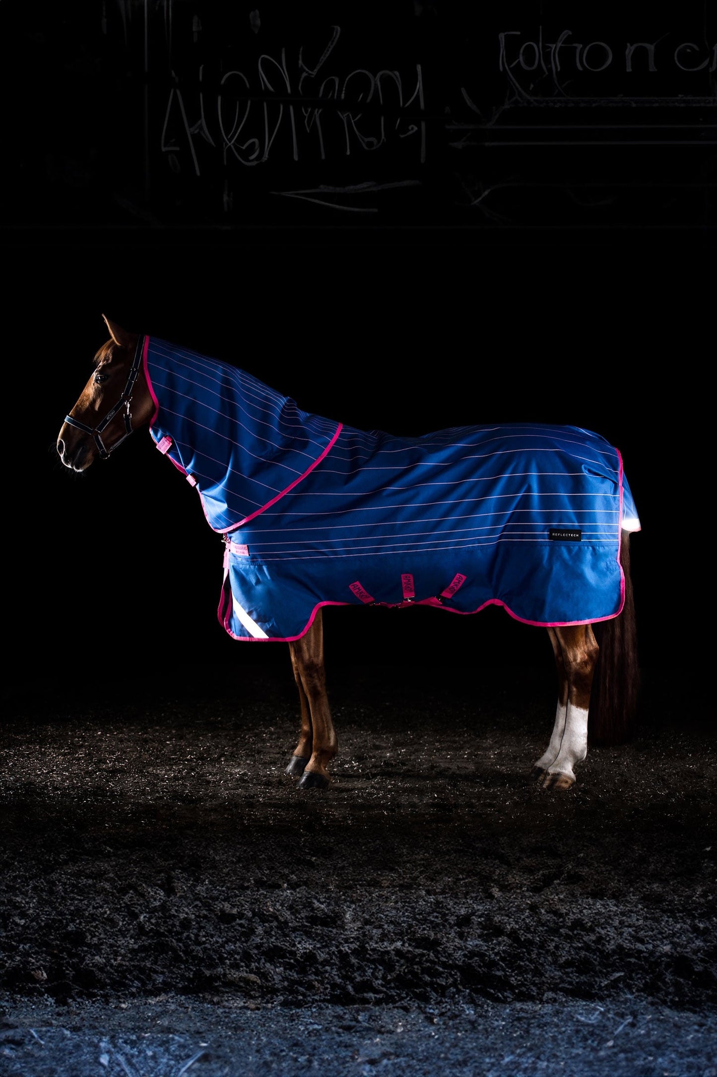 Amigo Bravo 12 Reflectech Plus Turnout Rug With Detachable Neck, 250g Blue/Pink 155